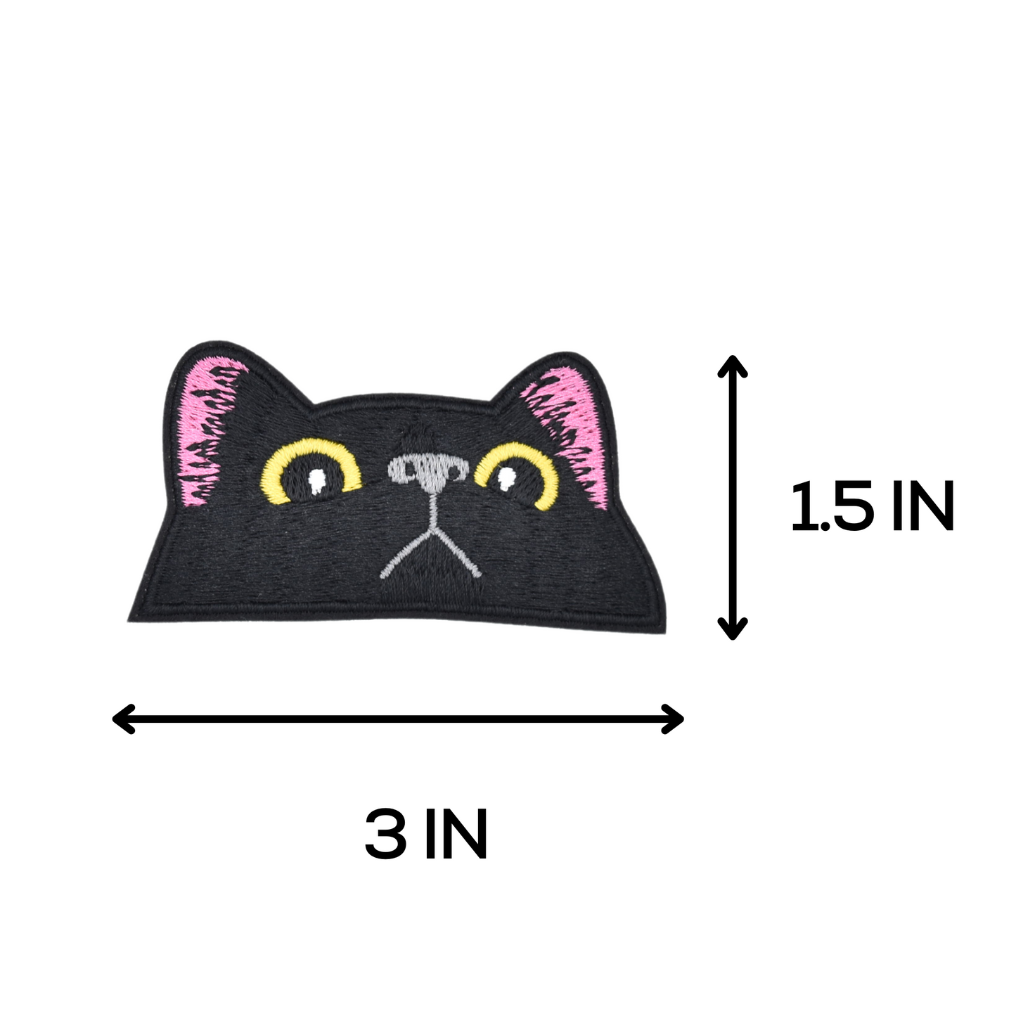 Black Cat Staring
